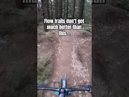 Flow trails don’t get much better than this… #mtb #shorts #bikepark #mountainbiking