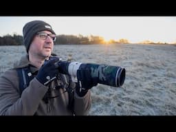 A Photography Walk in Dream Conditions - Bird Photography in the Field