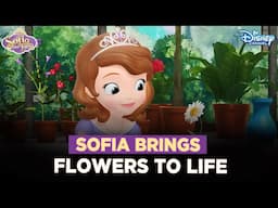 Does Sofia love all things floral? | Sofia The First | @disneyindia