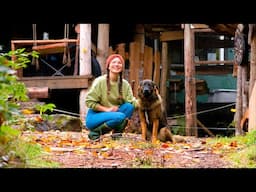 AUTUMN DAYS at Jake and Nicolles OFF GRID YURT🍂 | DIY Greenhouse Build (part 1)