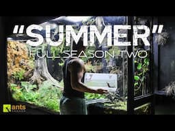 "Summer" Full Season Two Compilation - The AntsCanada Ecosystem Vivarium Series