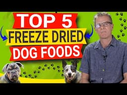 Top 5 Freeze Dried Dog Foods 2024