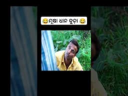 ମୂଷା ଧାନ କୁଡ଼ା // New Sambalpuri Comedy BJ Media presents 😂😂😂😂