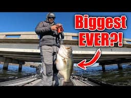 MASSIVE Texas Cold Front Ignites a FEEDING FRENZY!! (47 lb Limit)