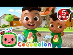 🕸️Anansi Song | CoComelon - Cody's Playtime | Songs for Kids & Nursery Rhymes