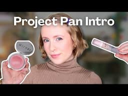 Project Pan is BACK! Finish 7 By Spring 🌿