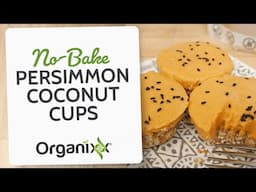 No-Bake Persimmon Coconut Cups