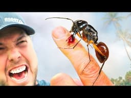 BITTEN by the BIGGEST ANT in the World!