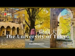 Tour inside The University of Tokyo | 東京大学| weekends with sy