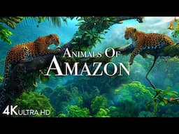 Animals of Amazon 4K - Animals That Call The Jungle Home | Amazon Rainforest |Scenic Relaxation Film