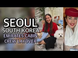 24 HOUR LAYOVER IN SEOUL - SOUTH KOREA | DOG & CAT CAFES | Emirates Cabin Crew Flight Attendant Vlog