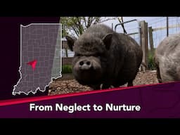 Journey Indiana - From Neglect to Nurture