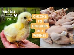 From Chick to Chicken in 8 Weeks! - Pastured Poultry in Virginia