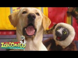 Buddies | Zoboomafoo - WildBrain | Movies for Kids