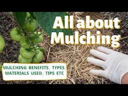 All About Mulching: Benefits, types, materials used everything in detail ||Backyard Gardening