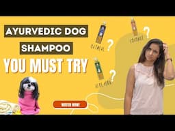 AYURVEDIC DOG SHAMPOO | Your Must Try!