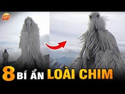 🔥 8 Bí Ẩn Ly Kỳ và Thú Vị về Loài Chim mà 99% Bạn Chưa Biết I Kính Lúp TV