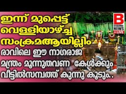 ഇന്നു കറുത്തവാവിലെ ആയില്യംമക്കള്‍ക്ക് ദുരിതങ്ങള്‍ ഉണ്ടാകാതിരിക്കാന്‍ നാഗരാജാവിന്റെ ഈ മന്ത്രംചൊല്ലുക