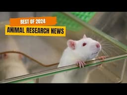 6 Medical Breakthroughs Involving Animal Research in 2024