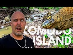 Encountering Komodo Dragons in the Wild