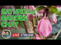 Saturday Garden Chat - Garden Update, Q& A, and more! #live #garden #gardentips