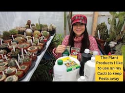 The Plant Products I like to use on my Cacti to keep Pests away #cacti #cactus