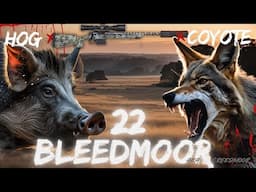 22 Creed vs. 6 Creed | Hog & Coyote Hunting