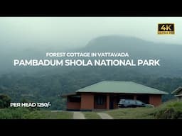 Vattavada Forest Stay | Pambadum Shola National Park | Vlog#90