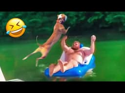 New Funny Animals 2024 😂 Funniest Cats and Dogs #20 🐶😻 Pets Awesome