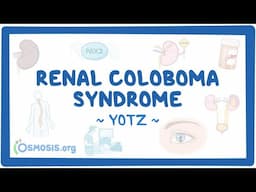 Renal coloboma syndrome (Year of the Zebra 2025)