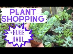 HOUSE PLANT SHOPPING + HAUL | GO PLANT SHOPPING WITH ME !!