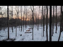 morning chores on the hobby farm