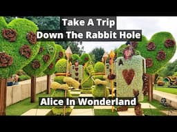 Come Explore The Real World of Alice In Wonderland With Us. Go Down The Rabbit Hole And Forget Time