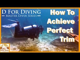 How To Achieve Perfect Trim | D For Diving [Master Diver Series]