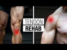 How To Rehab Tendon Injuries & Pain (Exercises & Education for Tendinitis, Tendinosis, Tendinopathy)