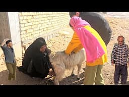 "Baking delicious bread by grandma and Zainab + feeding the sheep with the help of Hamid!"