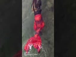 Red mermaid swims by (if you let it loop, it looks like a loading screen lol)