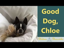 Good Dog, Chloe! The Chateau Chronicles – Ep #119