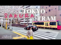 Riding the Tokyo Sakura Tram | Sakura Viewing | weekends with Sy