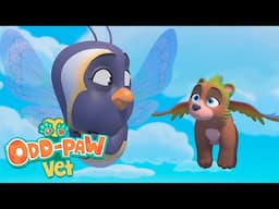 The Thank You Party | Odd-Paw Vets | Amazing Animal Rescues | Cartoons For Kids