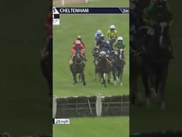 Dramatic start to this race! #horse #horseracing #racingtv #sport #britishhorseracing