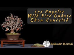 Los Angeles Wild Fire January 2025 - Bonsai Vlog - Baikoen Bonsai