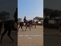 Neeli Wale Long Riders Club