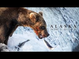 Bears of Katmai National Park