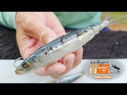 The 7 BEST Ways To Rig A Pilchard For Fishing