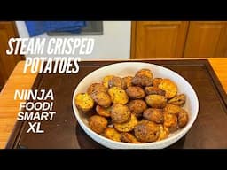 Steam-Crisped Baby Potatoes in the Ninja Foodi Smart XL: Perfectly Crispy and Fluffy!