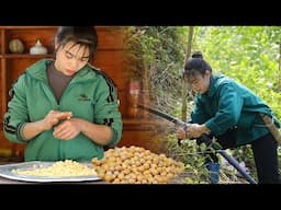 Lunar New Year Preparation Journey: Decorate and Make Traditional Cakes, Mountain Life