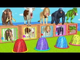 Cow Mammoth Dinosaur Elephant Gorilla Guess The Right Key ESCAPE ROOM CHALLENGE Animal Cage Game #12