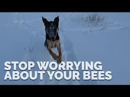 Why I Don't Worry About My Bees During The Winter (Or Try Not To Anyway)