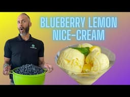 Raw-Vegan Blueberry Lemon Nice-Cream Recipe